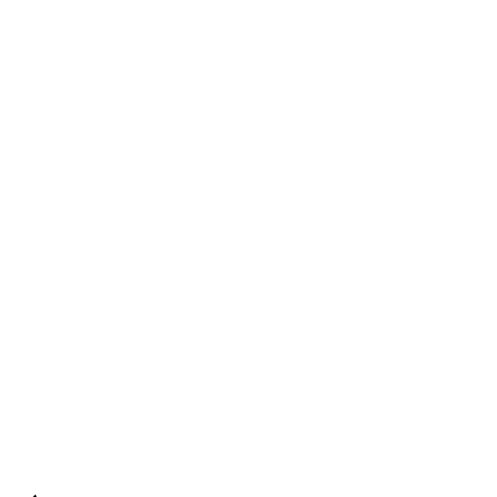 SpeedPro